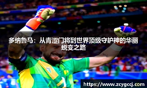 金沙集团1862cc成色